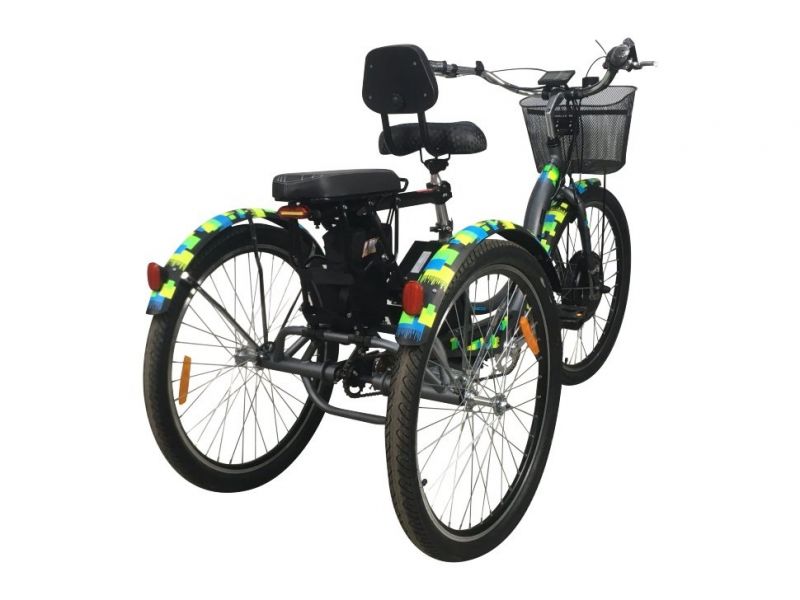 Электровелосипед трехколесный Horza Stels Trike Passenger 1000W 48V/30Ah