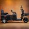 Электротрицикл ProTrike Караван R